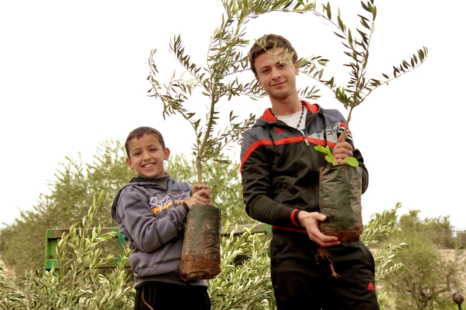 Palestinian Farming Freedom Farming - Palestinian Agroforestry Projects